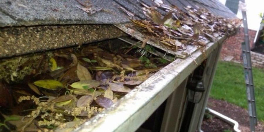 clean pro gutter cleaning huntington in